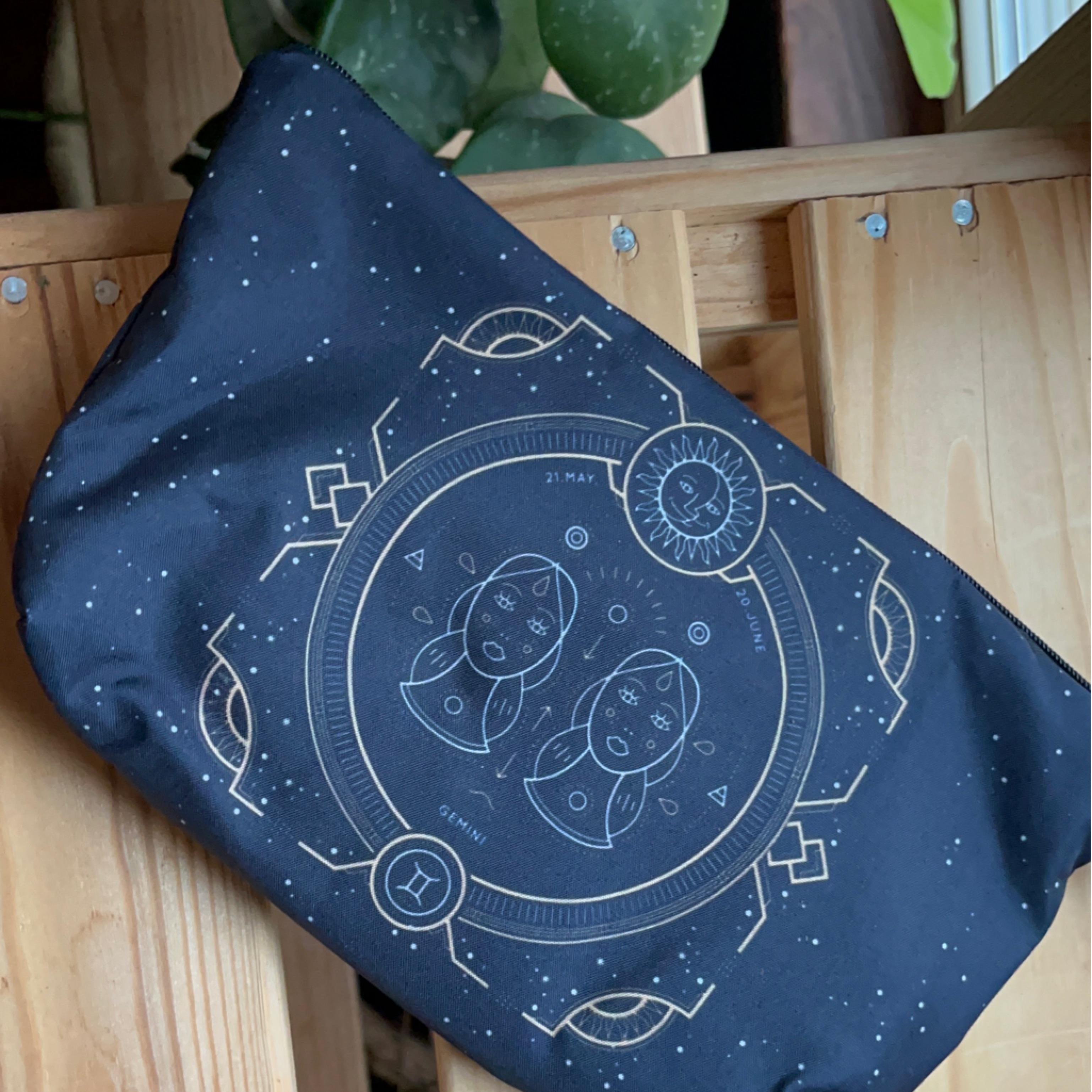 Gemini Pouch
